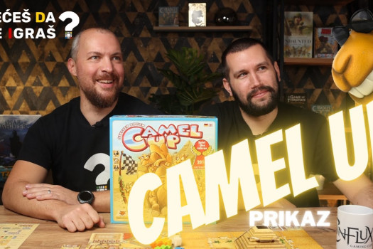 Camel Up - Univerzalna porodična / party igra za sve generacije (prikaz i utisci)