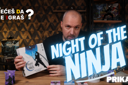 Night of the Ninja - kako smaknuti nindže suprotnog klana, kada se ne zna ko je ko? (prikaz)